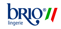 brio logo